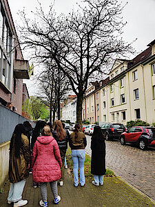 Schwedische Mehlbeeren in der Haeckelstraße (Foto Gisela Baudy, 12.04.24)