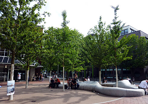Sitzgruppe mit Ginkgos und Zerreichen auf dem Herbert-und-Greta-Wehner-Platz (Foto Chris Baudy, 30.05.24)